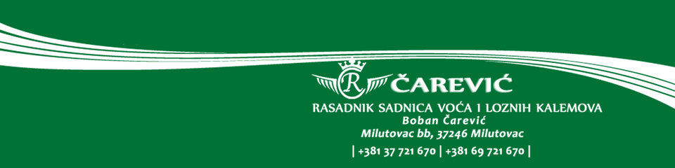 Čarević logo